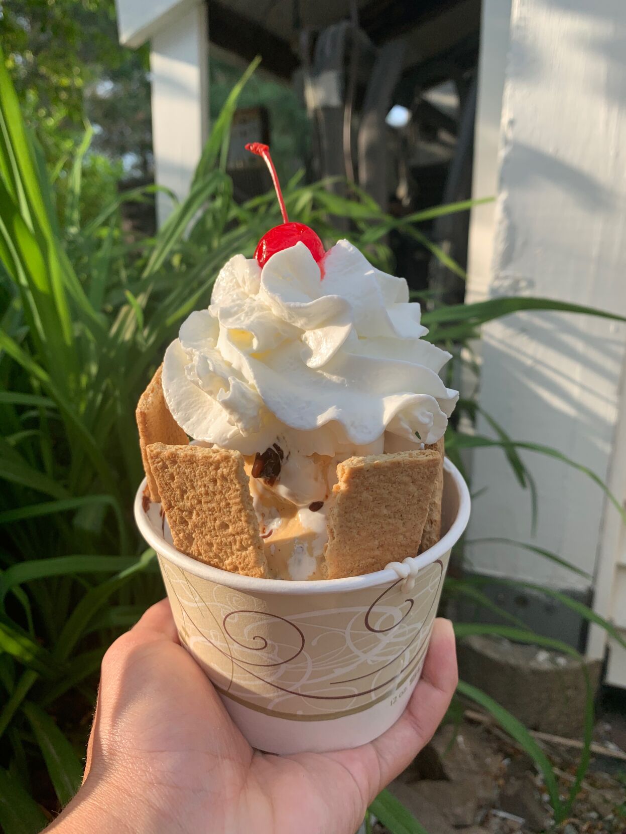 Village Scoop ice cream 2